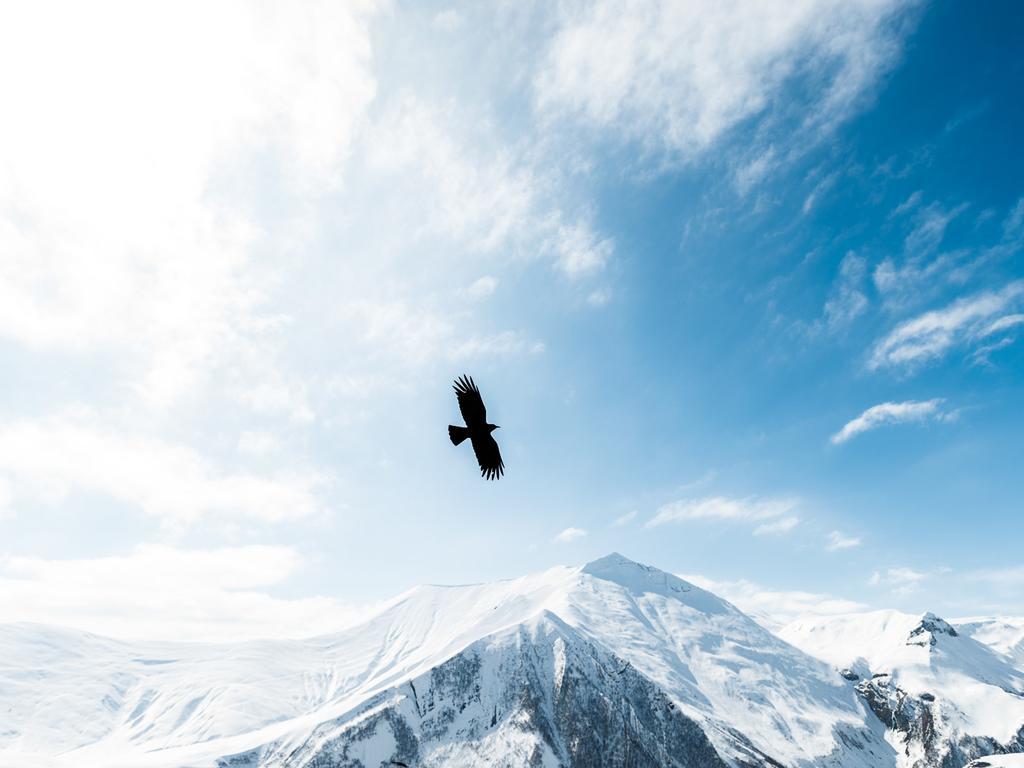Rooms Hotel Kazbegi Exterior photo The Blackbird